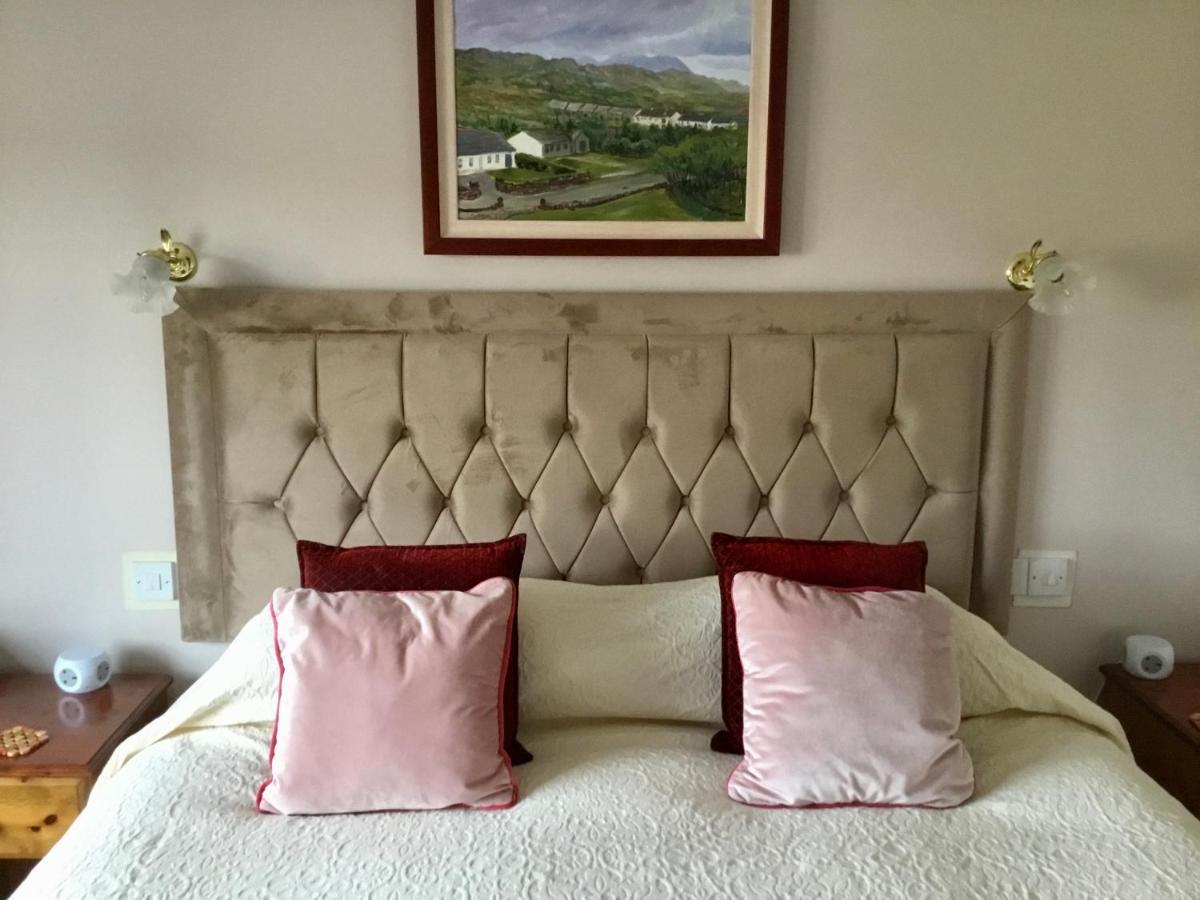 Buttermilk Lodge Guest Accommodation Clifden Exterior foto
